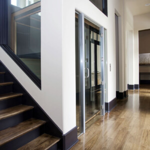 Cambridge Commercial or Residential Elevator from HomeLift