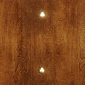 Symmetry Flat Elevator Ceiling with 2 LED lights from Homelift