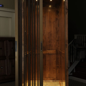 Symmetry Shaker Cab Elevator with Clear Accordion Gate from Homelift